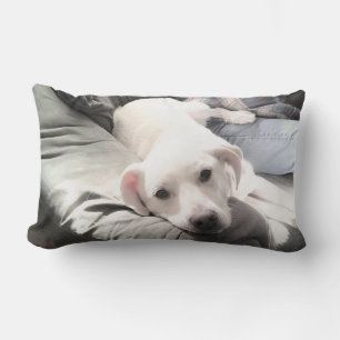 Coussin Rectangle Photo d'un chien assis à côté de son meilleur ami