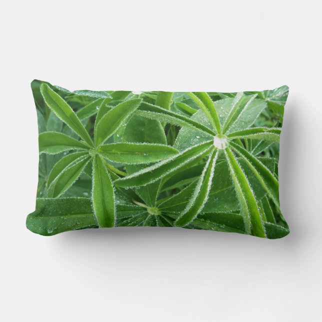 Coussin Rectangle Photographie botanique Feuille de Lupin (Recto)