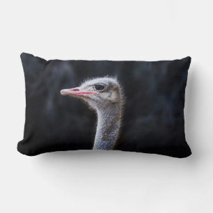 Coussin Rectangle Photographie d'autruche