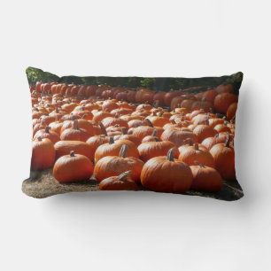 Coussin Rectangle Photographie de la récolte automnale de citrouille