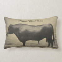 Photographie vintage d'Angus Taureau