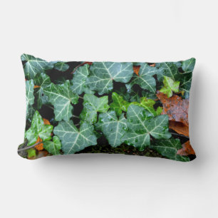 Coussin Rectangle Pierres de terrain, lierre, mur de jardin, décorat