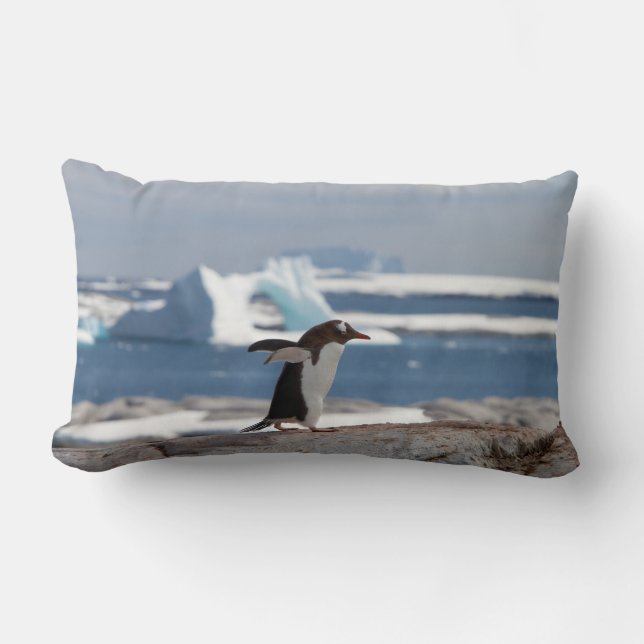 Coussin Rectangle Pingouin devant une arche de glace (Recto)