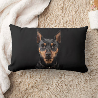 Coussin Rectangle Pinscher nain isolé sur fond noir
