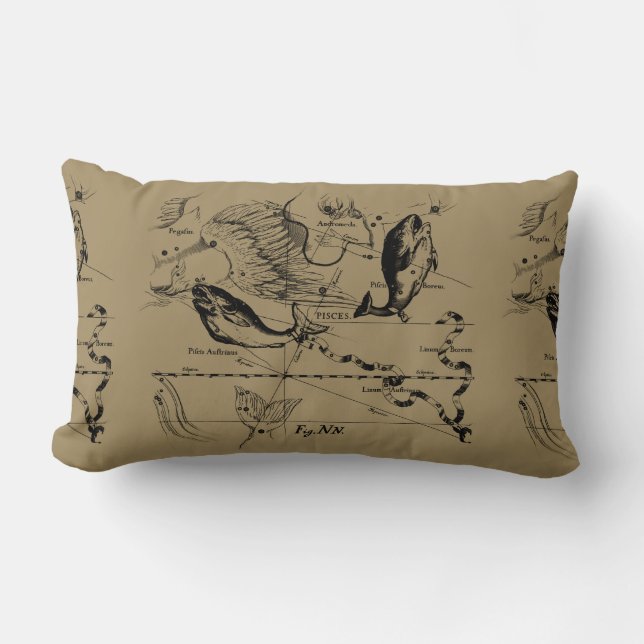Coussin Rectangle Pisces Constellation Hevelius 1690 Engraving (Recto)