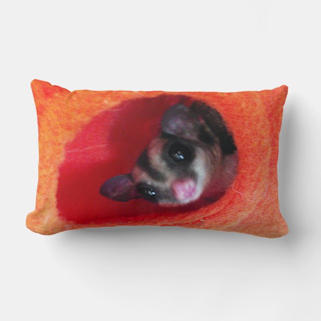 Coussin Rectangle Planeur à sucre en Orange Hanging Lit (Recto)