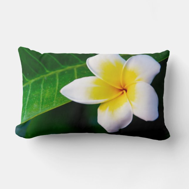 Coussin Rectangle plumérie (Recto)