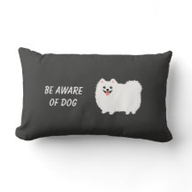 Pomeranian blanc pelucheux mignon - rendez-vous