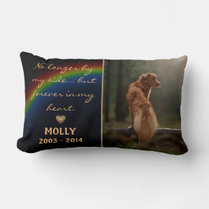 Coussin Rectangle Pont Arc-En-Ciel En Mémoire De Chien Cat Pet Memor