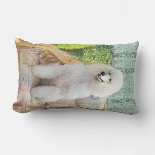 Coussin Rectangle Poodle Standard Blanc