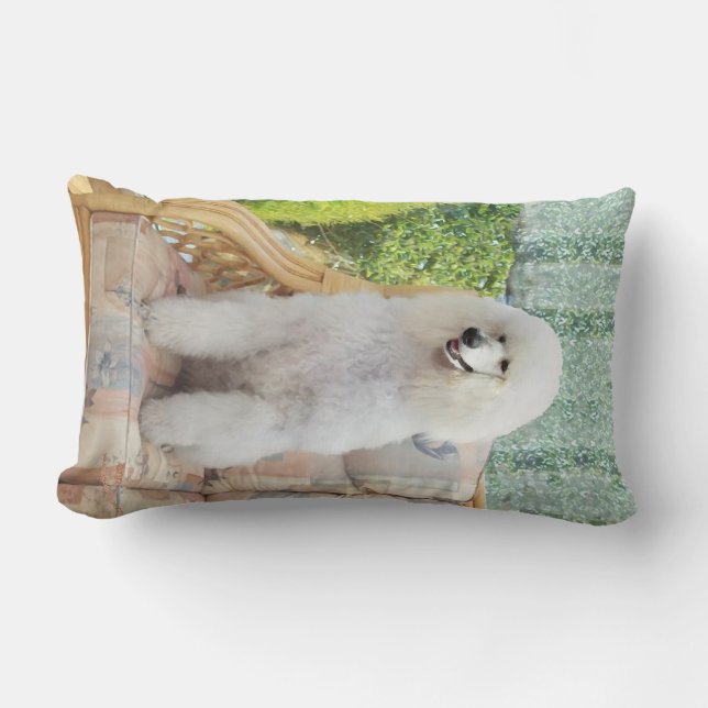 Coussin Rectangle Poodle Standard Blanc (Recto)