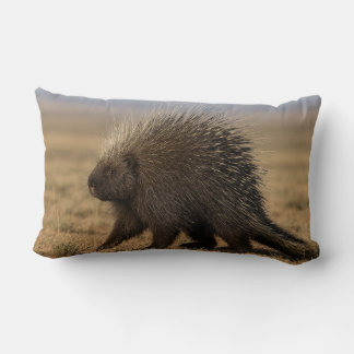 Coussin Rectangle Porc-épic contre chien