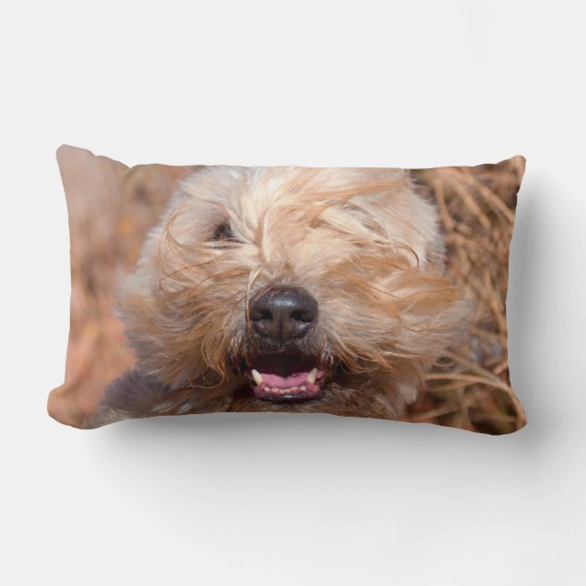 Coussin Rectangle Portrait de Terrier roux à revêtement souple (Recto)