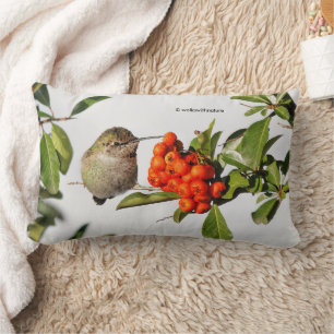 Coussin Rectangle Poses de colibri d'Anna avec la Pyracantha