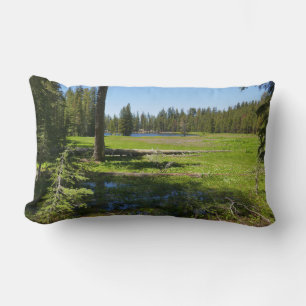 Coussin Rectangle Prairie de Yosemite avec des étoiles filantes