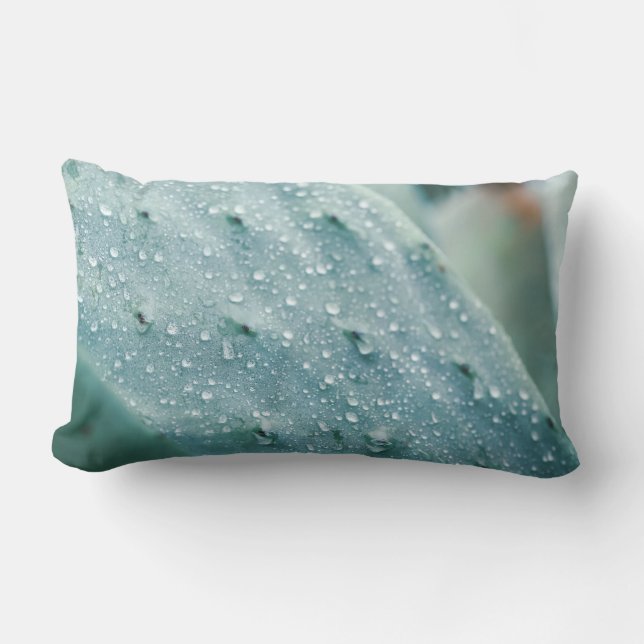 Coussin Rectangle Prickly Pear Texture Pale Green (Recto)