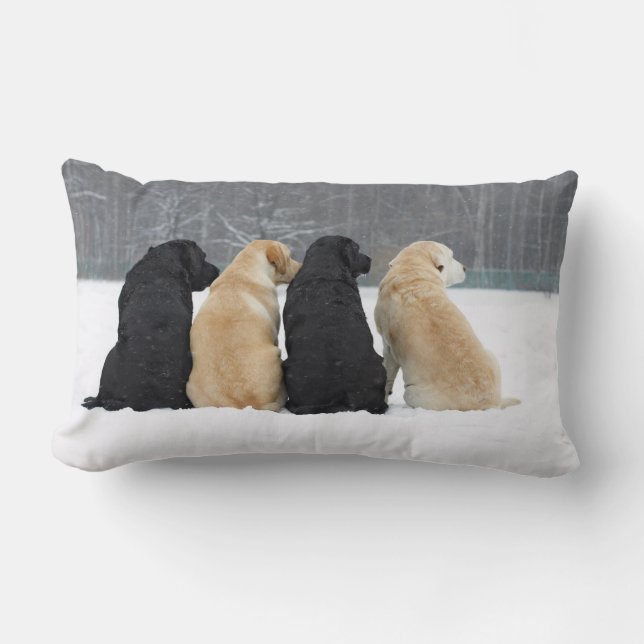 Coussin Rectangle Quatre Chiens du Labrador en neige (Recto)