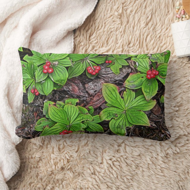 Coussin Rectangle Quatre-temps avec fruits (Couverture)
