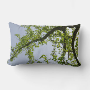 Coussin Rectangle Recherche de l'arbre du peuplier de printemps