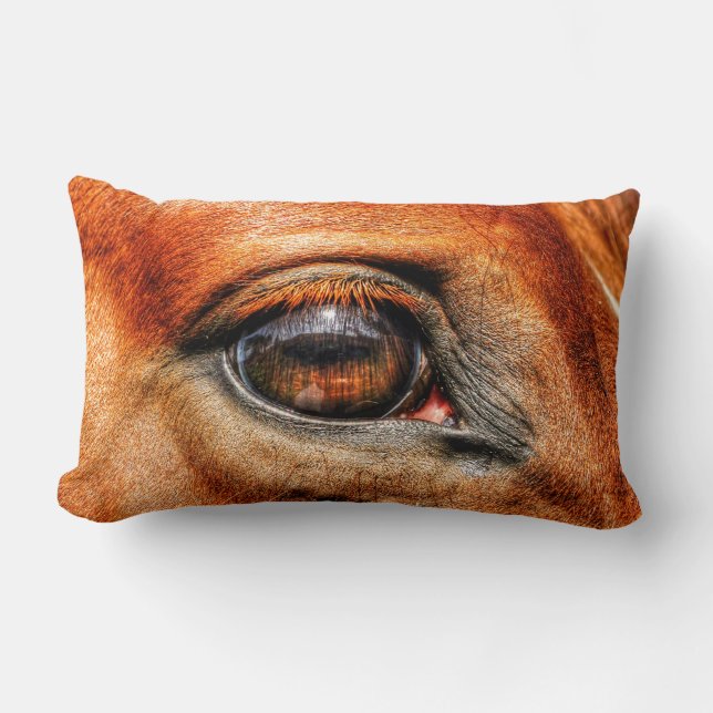 Coussin Rectangle Red Dun Mare Horse's Eye Equine Photo (Recto)