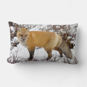 Coussin Rectangle Renard rouge dans la neige en hiver