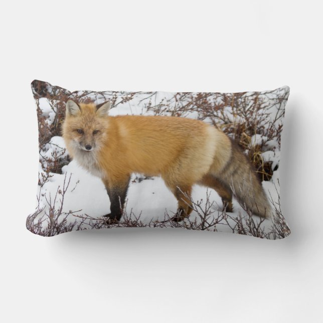 Coussin Rectangle Renard roux dans la neige en hiver (Recto)
