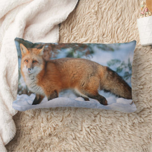Coussin Rectangle Renard roux Neige en hiver, Montana