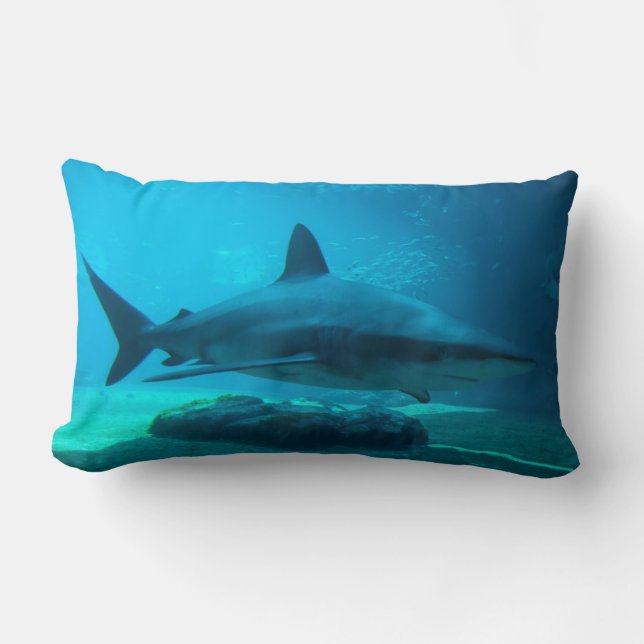 Coussin Rectangle Requin de nuit (Carcharhinus Obscurus), Ushaka (Recto)