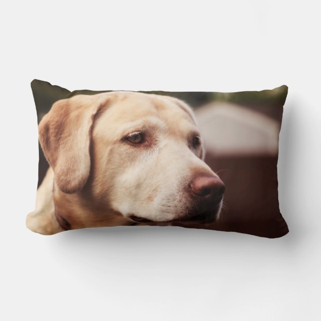 Coussin Rectangle Retriever du Labrador (Recto)