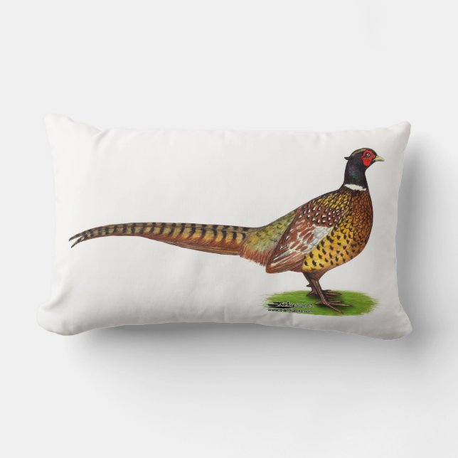 Coussin Rectangle Ringneck Pheasant Rooster (Recto)