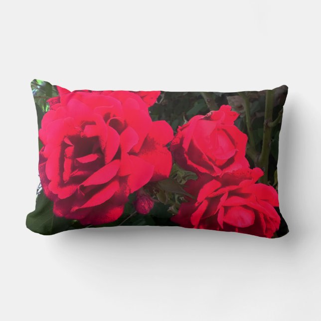 Coussin Rectangle Roses Rouges Fleurissant  (Recto)
