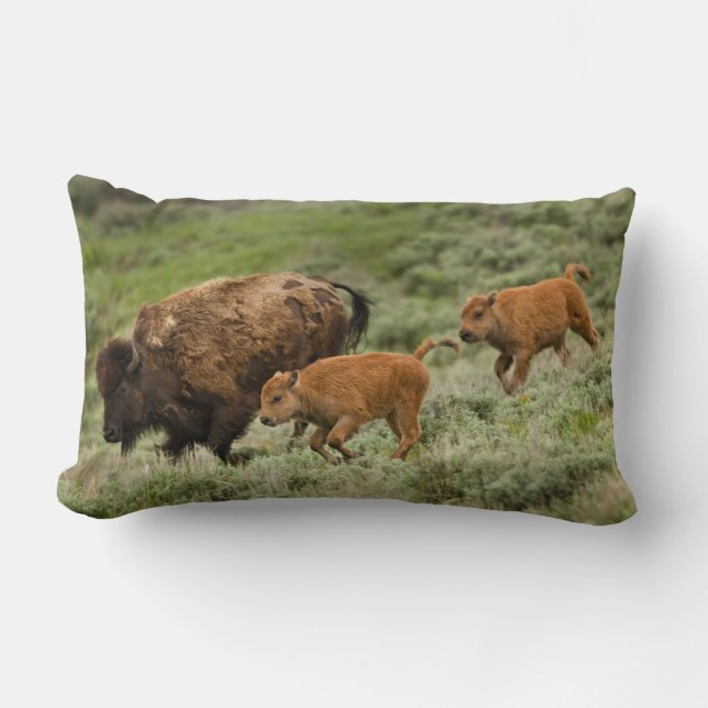 Coussin Rectangle Ruée de vallée de Lamar mini (Recto)