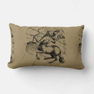 Coussin Rectangle Sagittaire Constellation Hevelius circa 1690