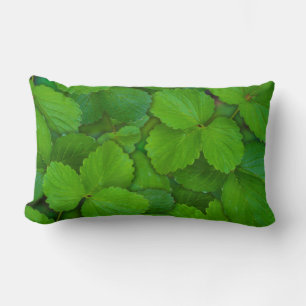 Coussin Rectangle Saint Basil Tulsi Green Mint Feuilles