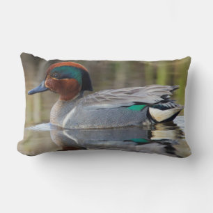 Coussin Rectangle Sarcelle à ailes vertes