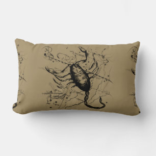 Coussin Rectangle Scorpio Constellation Hevelius 1690 Classic