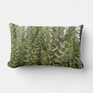 Coussin Rectangle "Sentinelles verdoyantes : la majesté de Cactus