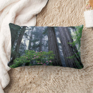 Coussin Rectangle Séquoias côtiers et rhododendrons