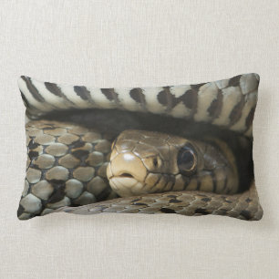 Coussin Rectangle Serpent