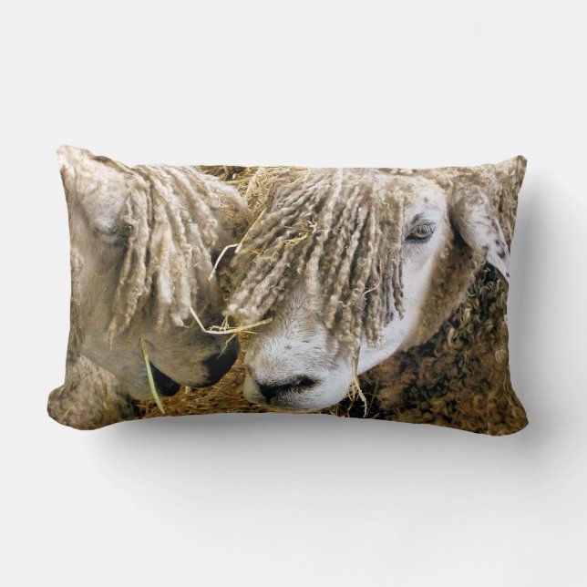 COUSSIN RECTANGLE SHEEP (Recto)
