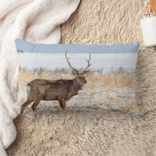 Coussin Rectangle Sika Stag dans un champ neigeux   Japon