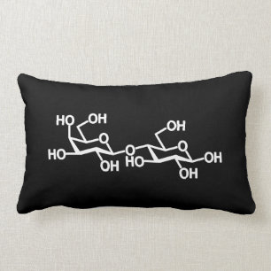 Coussin Rectangle Structure de lait de lactose