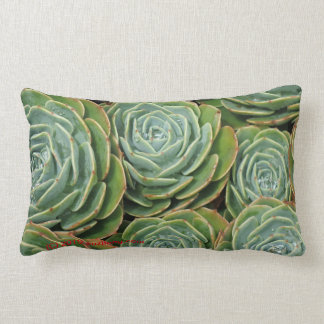 Coussin Rectangle Succulents succulents, côté 2 !