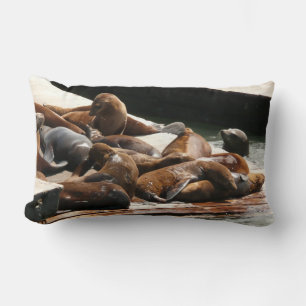 Coussin Rectangle Sunning Lions à San Francisco