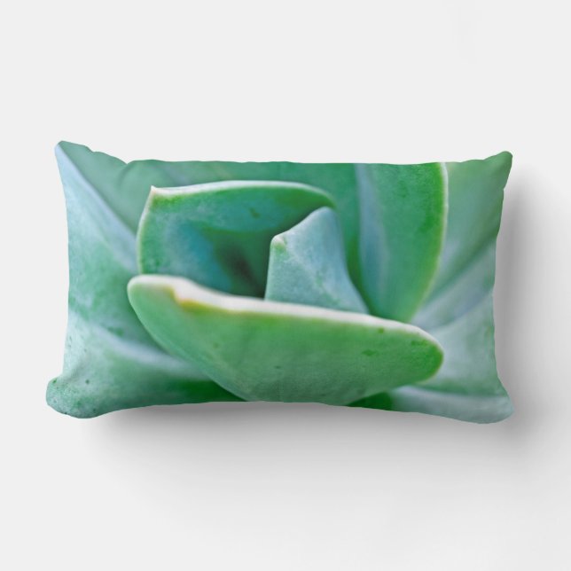Coussin Rectangle Swirl Succulent (Recto)
