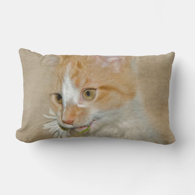 Coussin Rectangle tabby kitten avec marguerite (Recto)