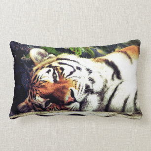 Coussin Rectangle Tigre d'escalier