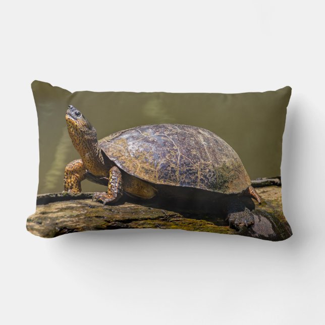 Coussin Rectangle Tortue de rivière à Tortuguero - Costa Rica (Recto)