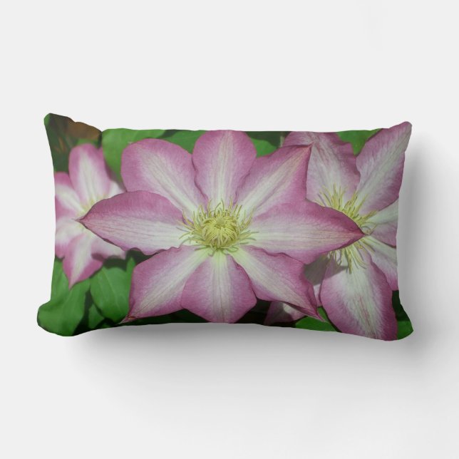 Coussin Rectangle Trio de Clematis Pink and White Spring Vine (Recto)