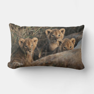 Coussin Rectangle Trio de Lion Cubs with Mother